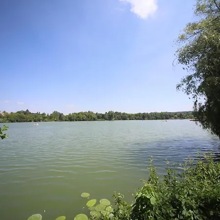 P-hosting Kitten Manor Im Kurort Bad Waldsee